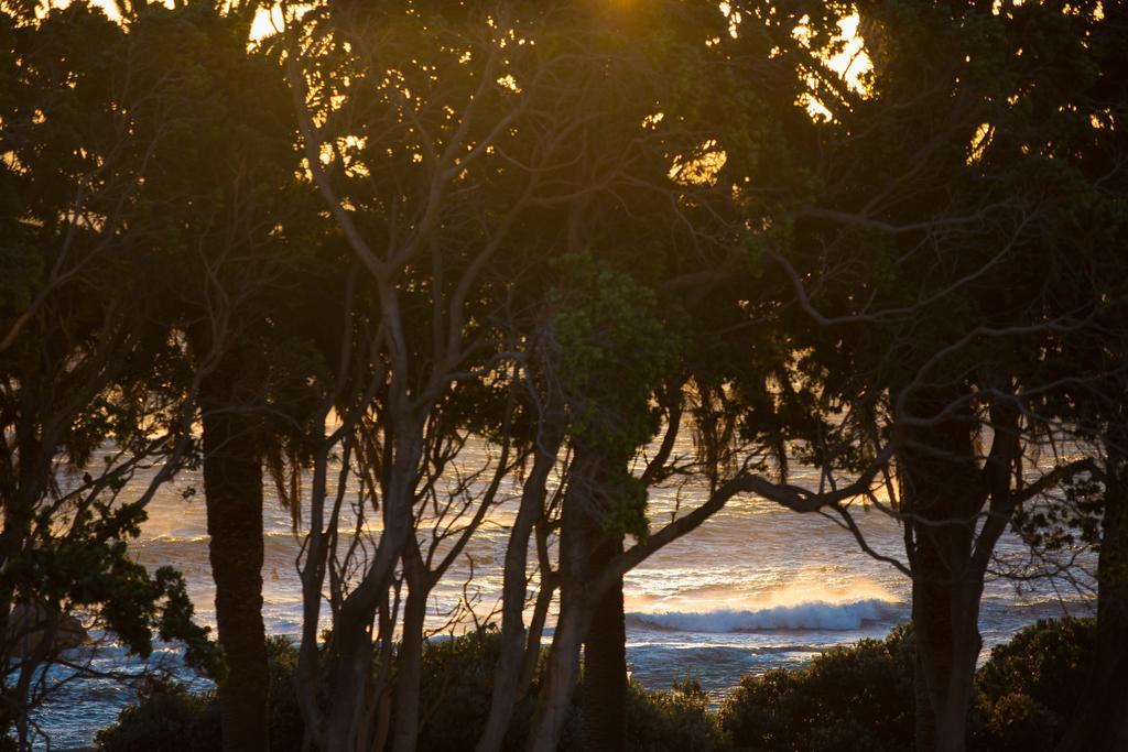 Appartamento Caprice Camps Bay Camera foto